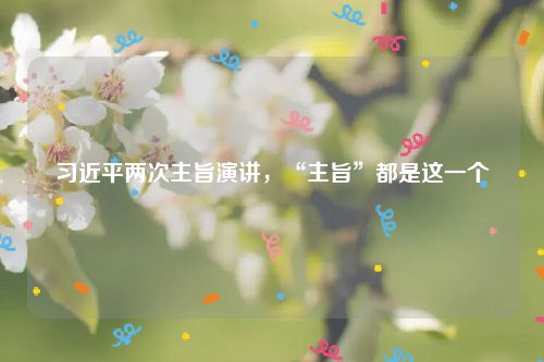 习近平两次主旨演讲,“主旨”都是这一个