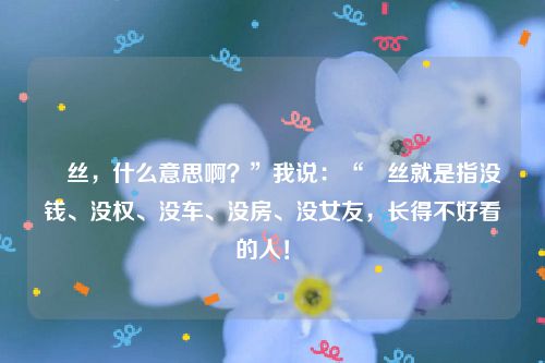屌丝,什么意思啊?”我说:“屌丝就是指没钱、没权、没车、没房、没女友,长得不好看的人!