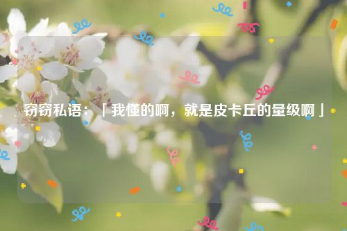 窃窃私语:「我懂的啊,就是皮卡丘的量级啊」
