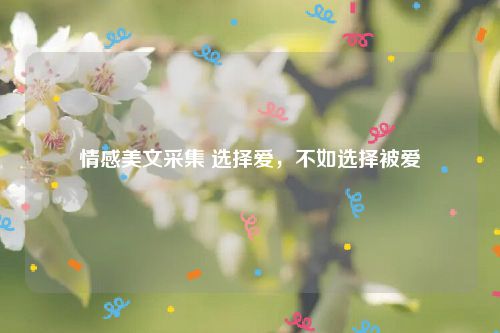 情感美文采集 选择爱,不如选择被爱